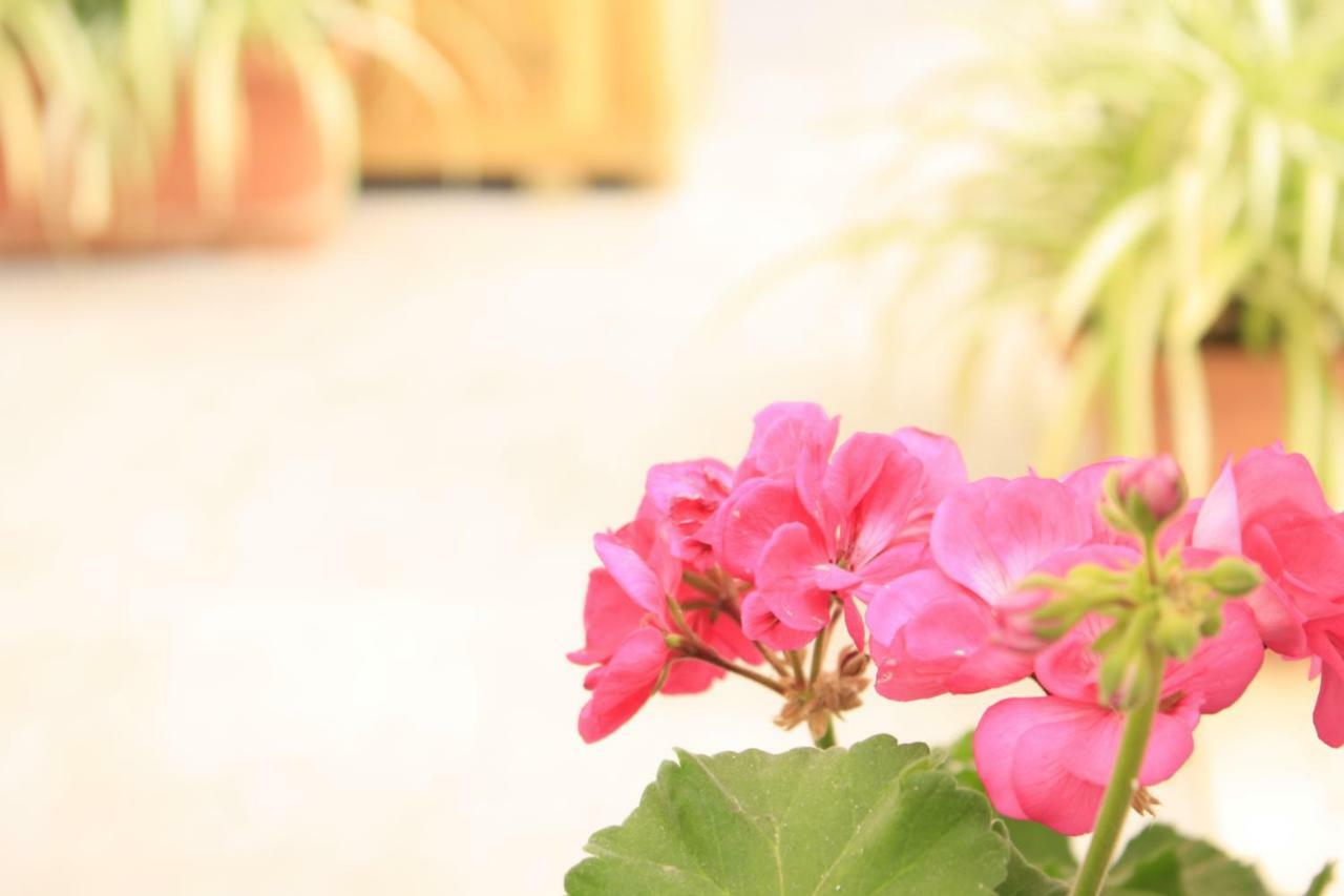 B&B D'Orleans Palermo Luaran gambar